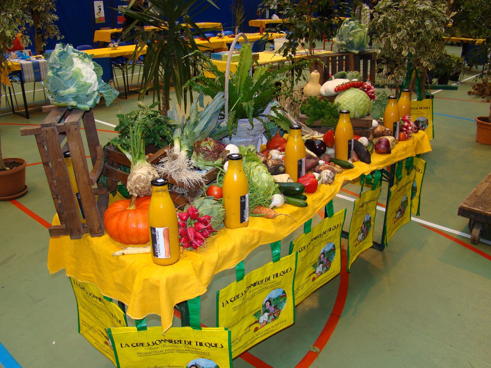 Producteur fruits et légumes Saint-Omer